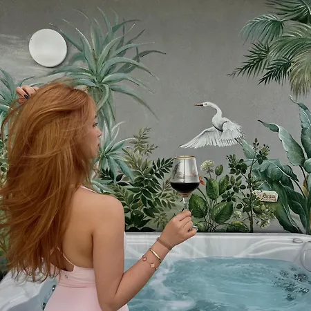 Apartment Bridge - Penthouse Timisoara